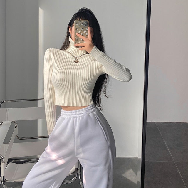 Turtleneck Ribbed Knit Cropped Jumper